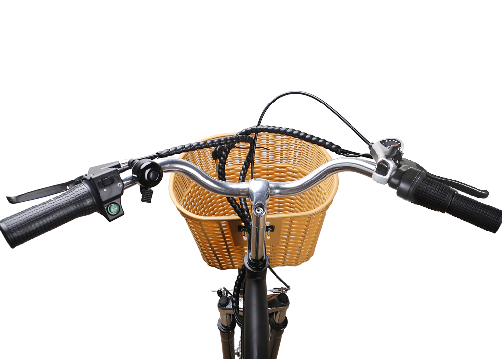 NAKTO Camel 250W Electric Bike