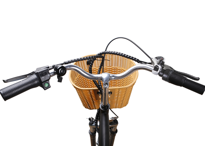 NAKTO Camel 250W Electric Bike