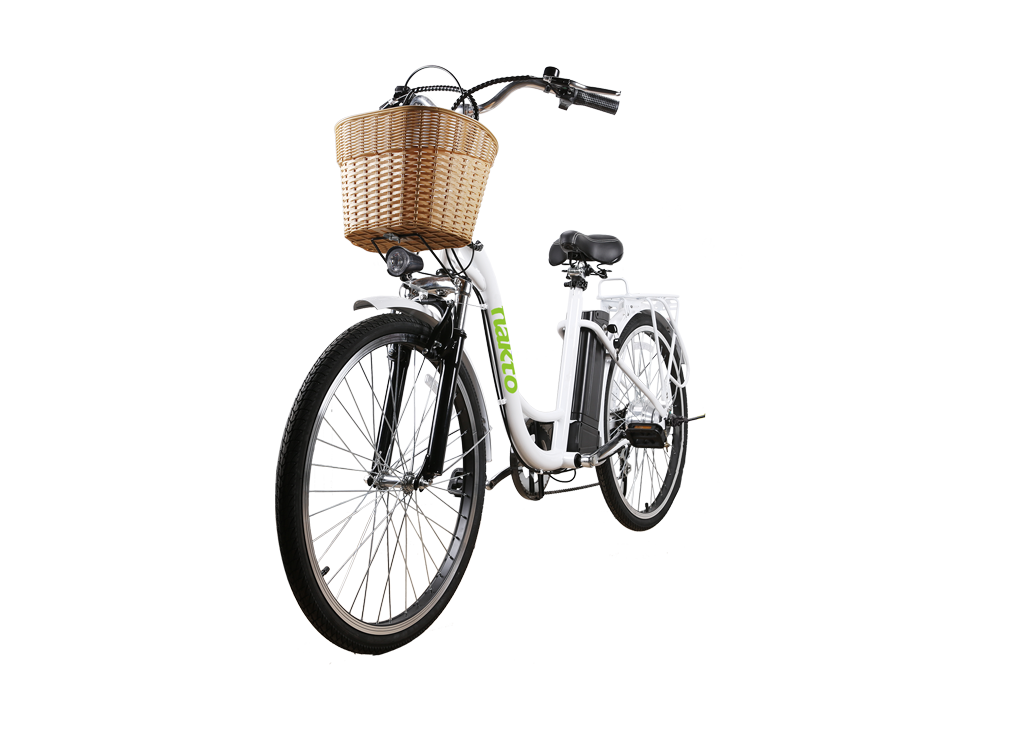 NAKTO Camel 350W Electric Bike