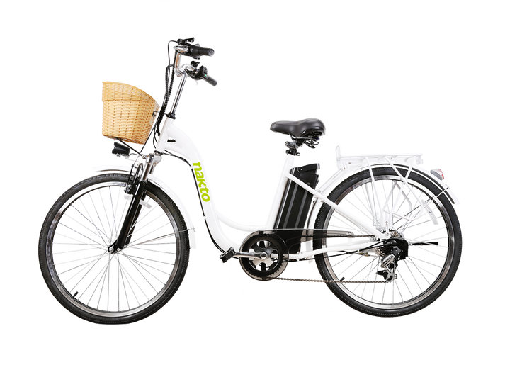 NAKTO Camel 350W Electric Bike