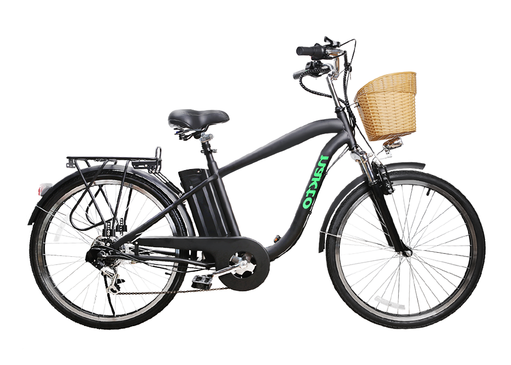 NAKTO Camel 350W Electric Bike