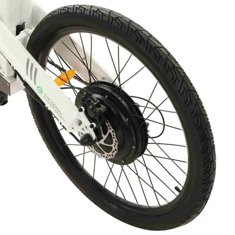 Ecotric Seagull Electric Mountain Bicycle