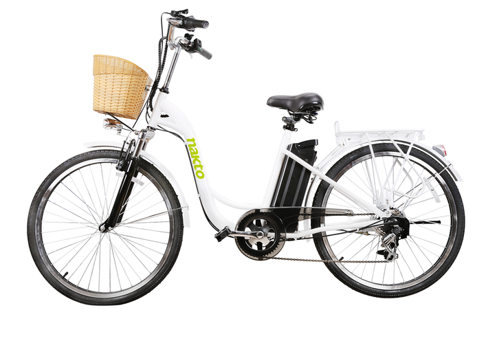 NAKTO Camel 350W Electric Bike