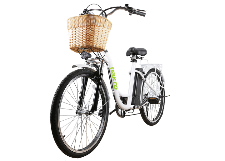 NAKTO Camel 350W Electric Bike