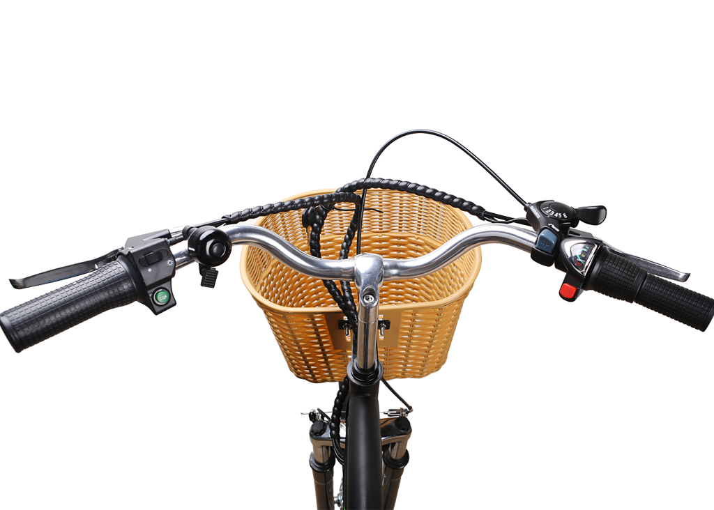 NAKTO Camel 250W Electric Bike