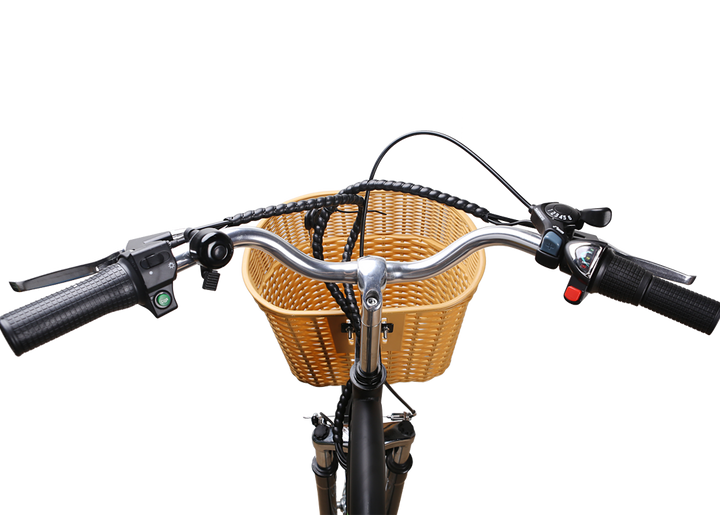 NAKTO Camel 250W Electric Bike