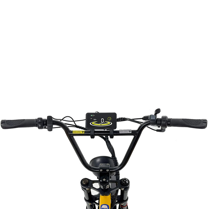 Nakto F4 All-Terrain Fat Tire Electric Bike