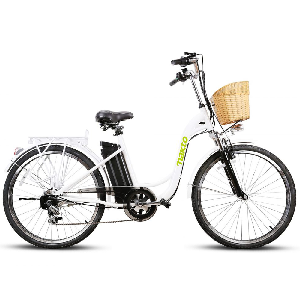 NAKTO Camel 350W Electric Bike