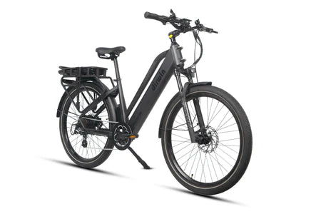 Pacer Plus Electric Bike