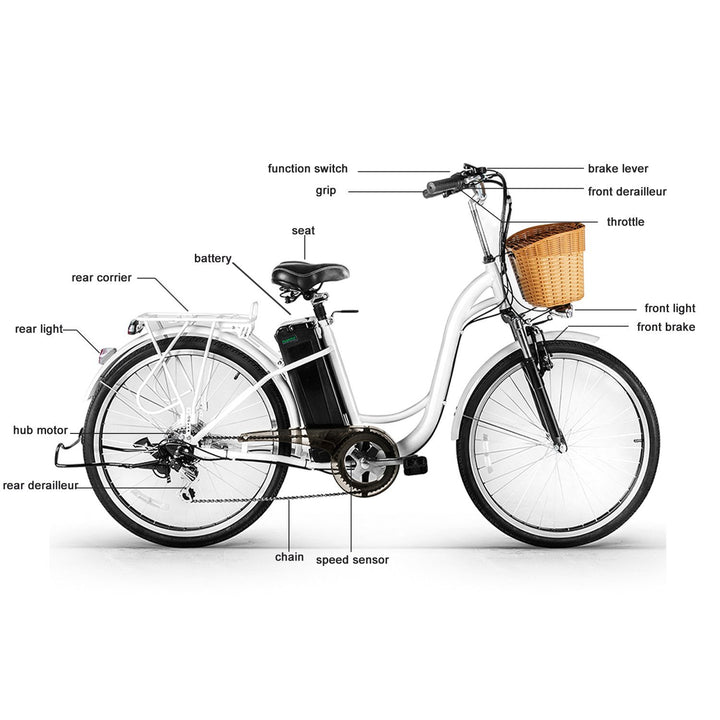 NAKTO Camel 350W Electric Bike